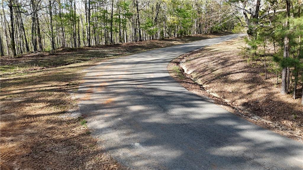 Lot2-3 Lot2-3 Chalcrest Way Cave Spring, GA 30124 - Photo 14 of 60