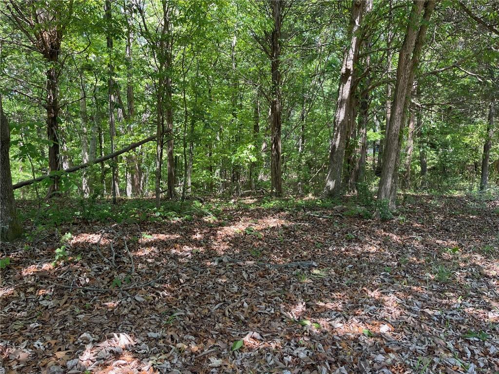 Lot2-3 Lot2-3 Chalcrest Way Cave Spring, GA 30124 - Photo 20 of 60 a view of outdoor space and trees