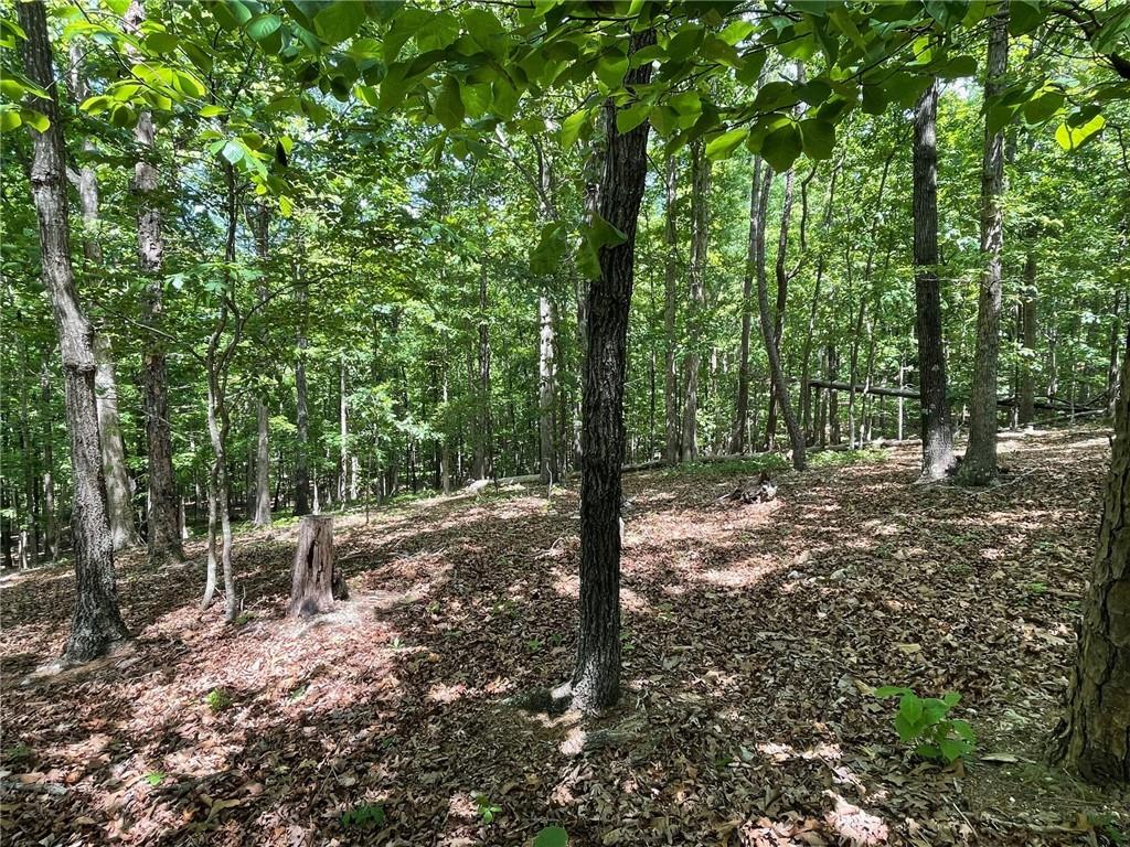Lot2-3 Lot2-3 Chalcrest Way Cave Spring, GA 30124 - Photo 2 of 60 a view of a forest filled with trees