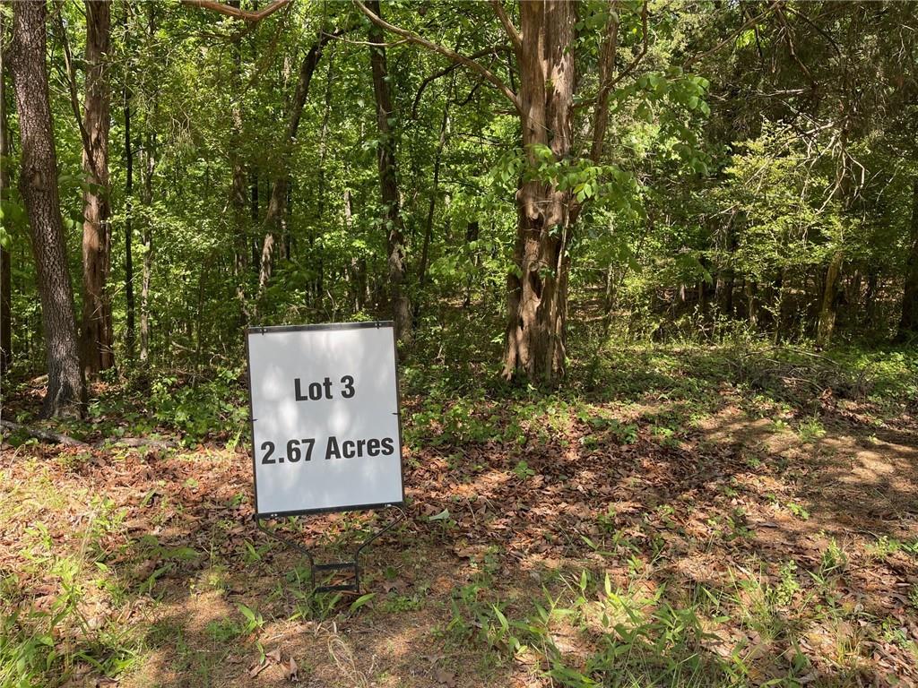 Lot2-3 Lot2-3 Chalcrest Way Cave Spring, GA 30124 - Photo 22 of 60 a sign of the tree