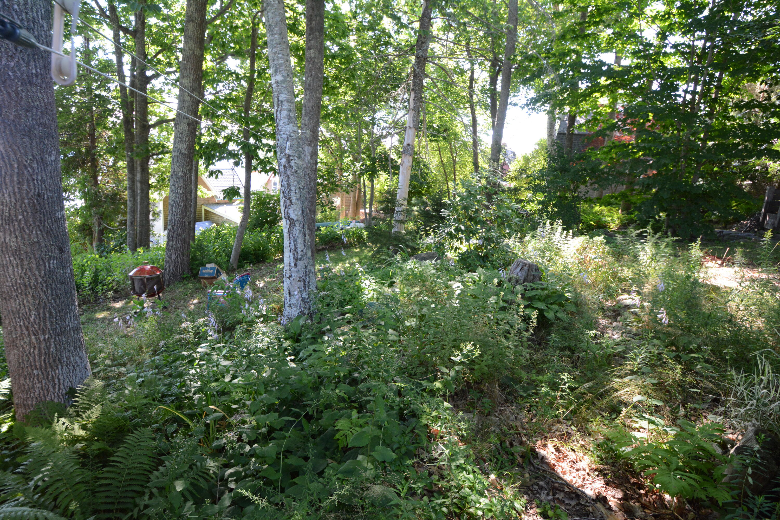 5 4th Street Northport, ME 04849 - Photo 21 of 39 Back yard