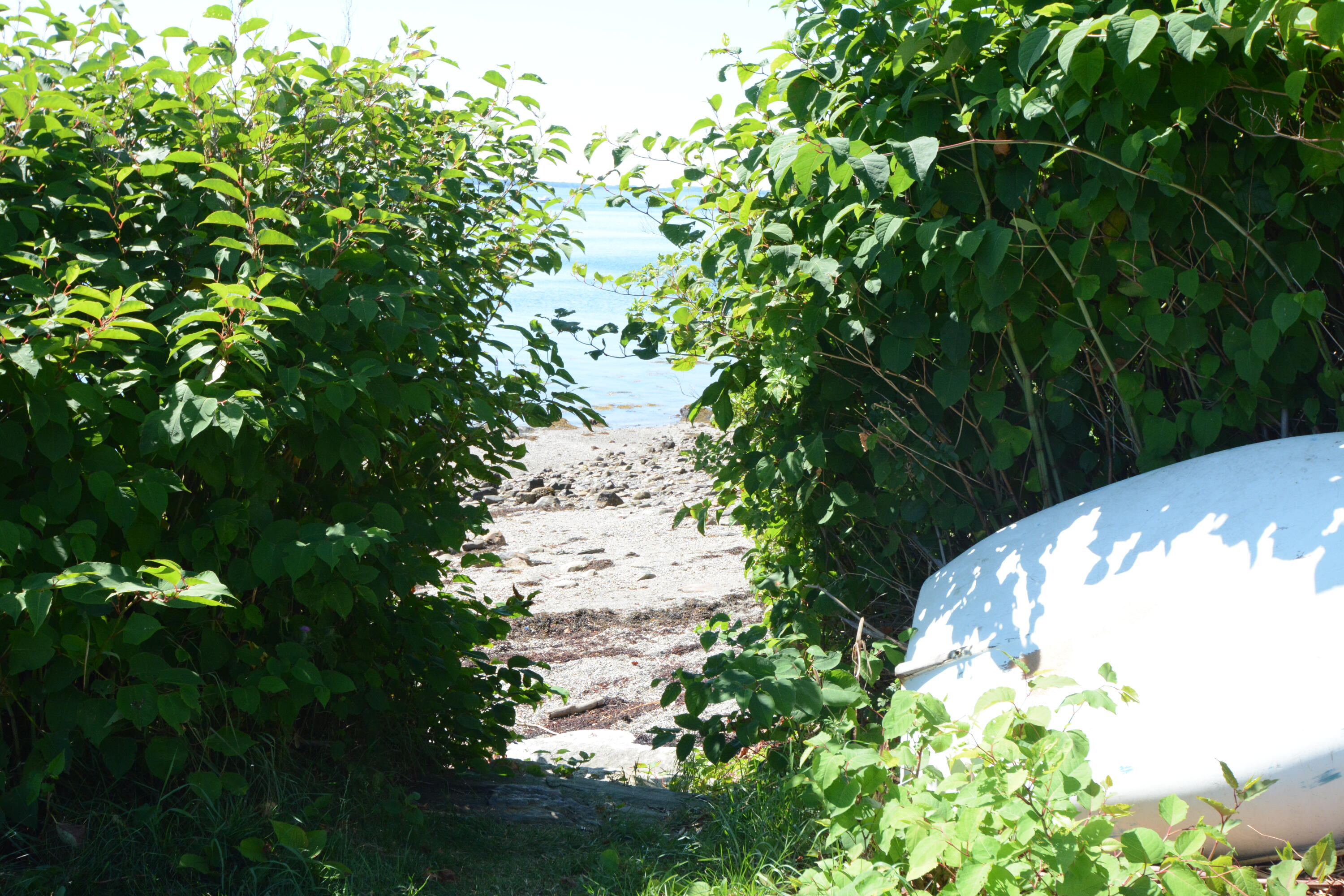 5 4th Street Northport, ME 04849 - Photo 32 of 39 Path to beach