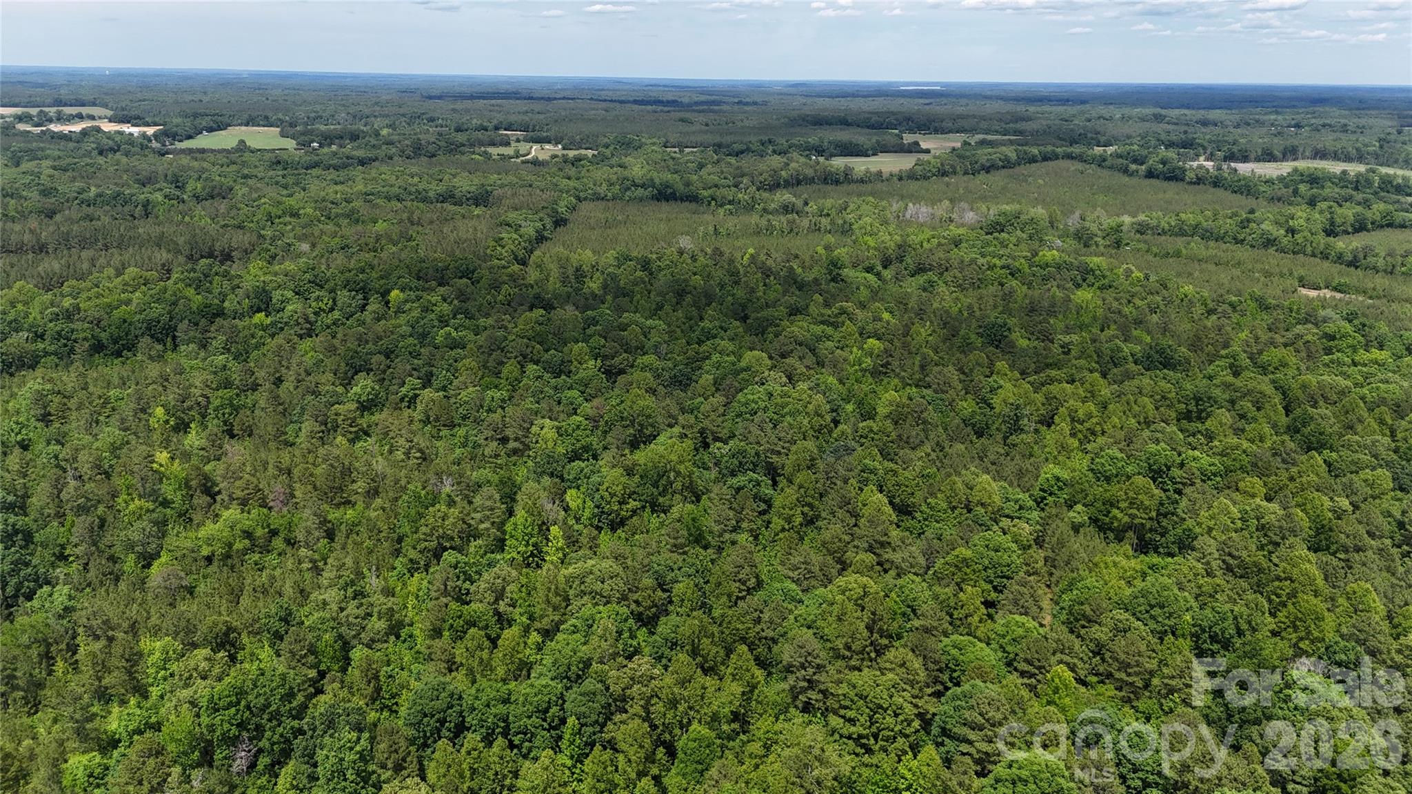 0 Herbert Faucette Road Bullock, NC 27507 - Photo 25 of 40