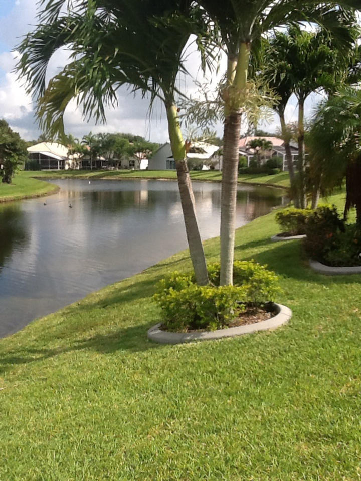 Long Lake Views
