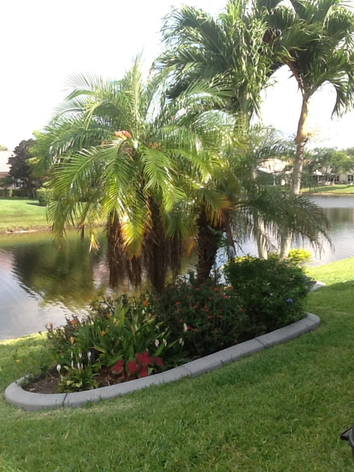 2750 Pointe Circle Greenacres, FL 33413 - Photo 14 of 14 Lush tropical landscaping