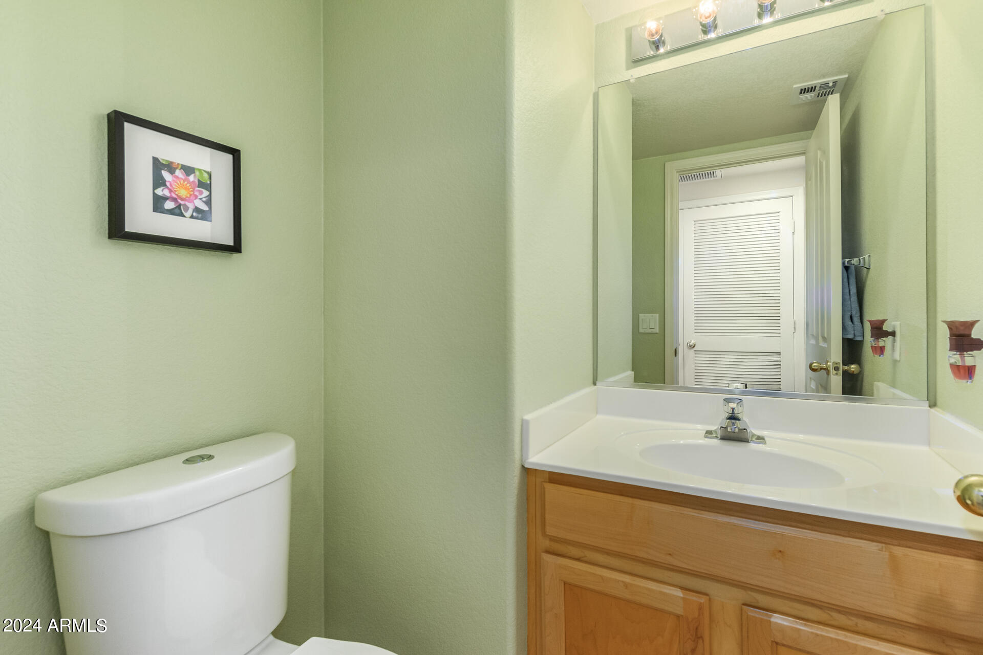4349 South Rim Court Gilbert, AZ 85297 - Photo 9 of 20 Powder Room