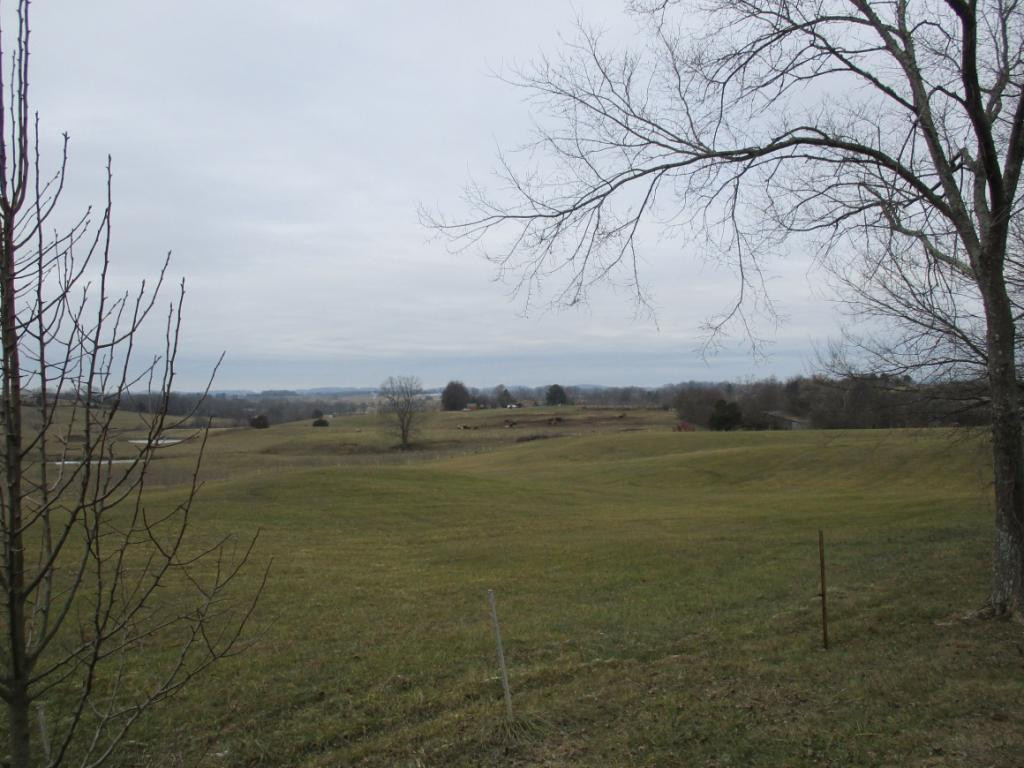 139 Farmington Heights Road Limestone, TN 37681 - Photo 29 of 34 Photo 30