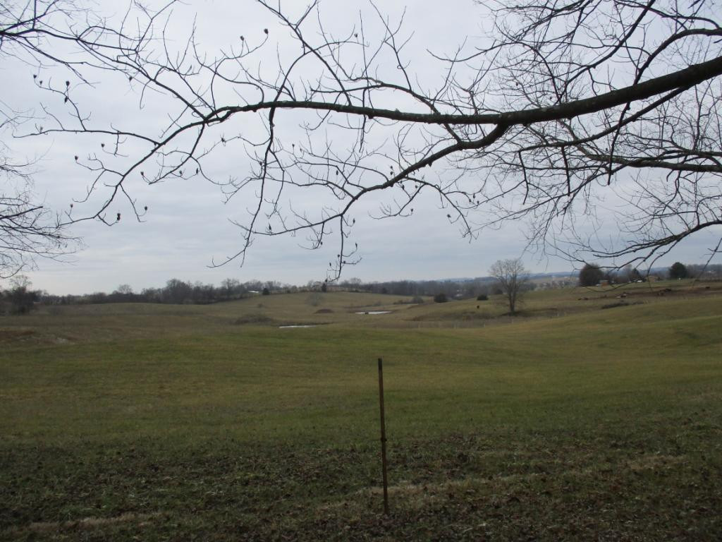 139 Farmington Heights Road Limestone, TN 37681 - Photo 4 of 34 Photo 4
