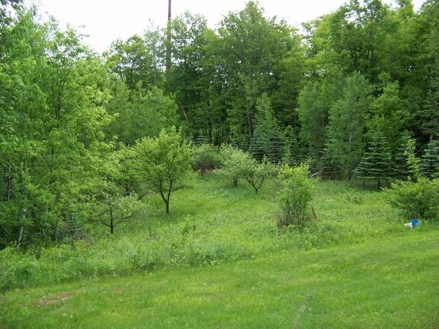 2819 St Louis Road Phelps, WI 54554 - Photo 3 of 17 Gallery Image 3