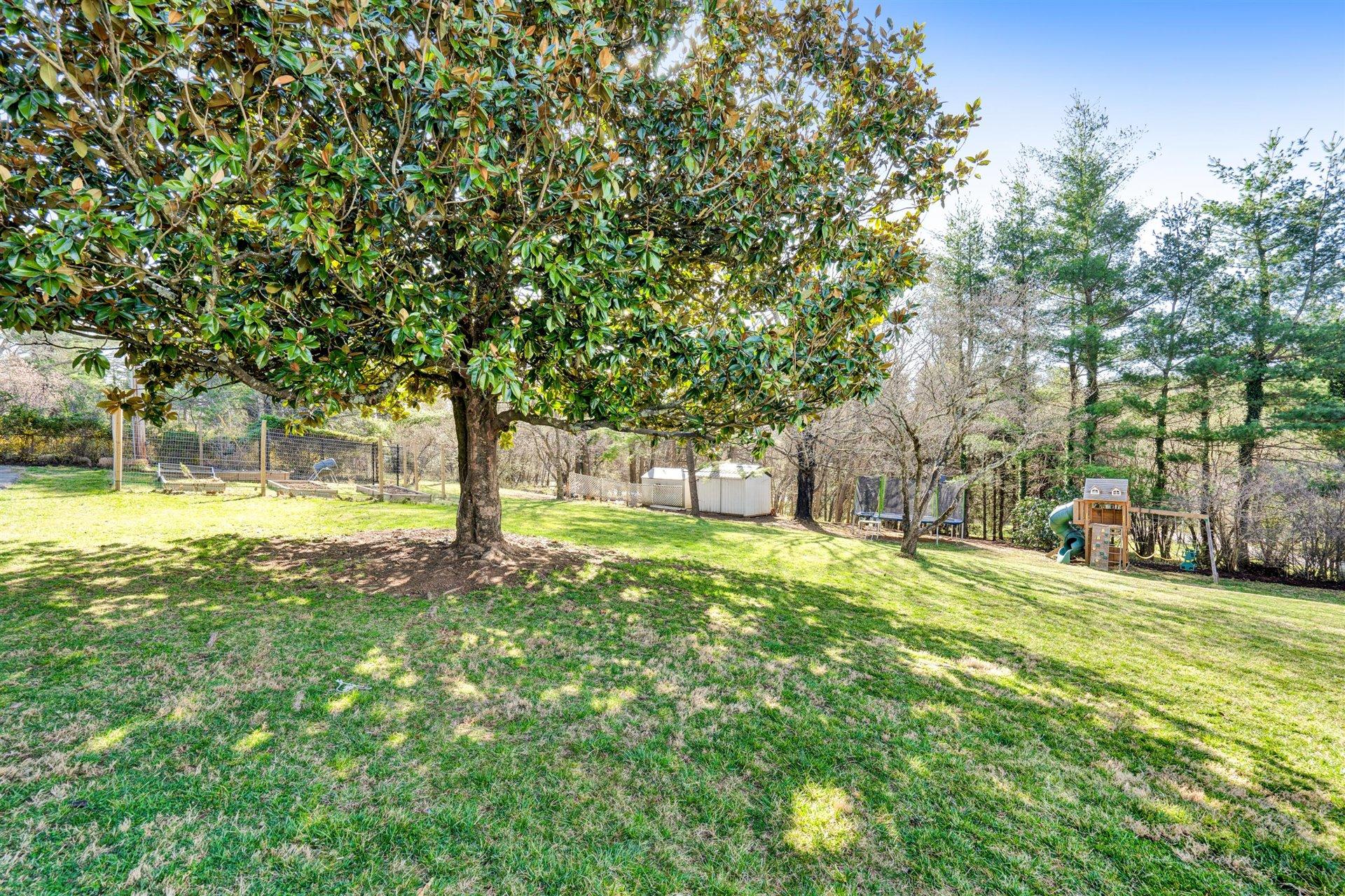 5460 Wynne Road Roanoke, VA 24018 - Photo 39 of 49 39-DSC5641