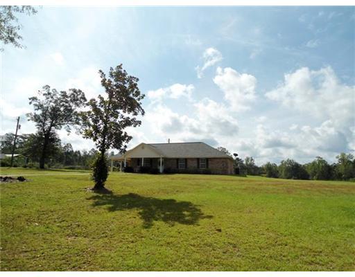 578 Riceville Road McHenry, MS 39561 - Photo 12 of 12 Additional Photo