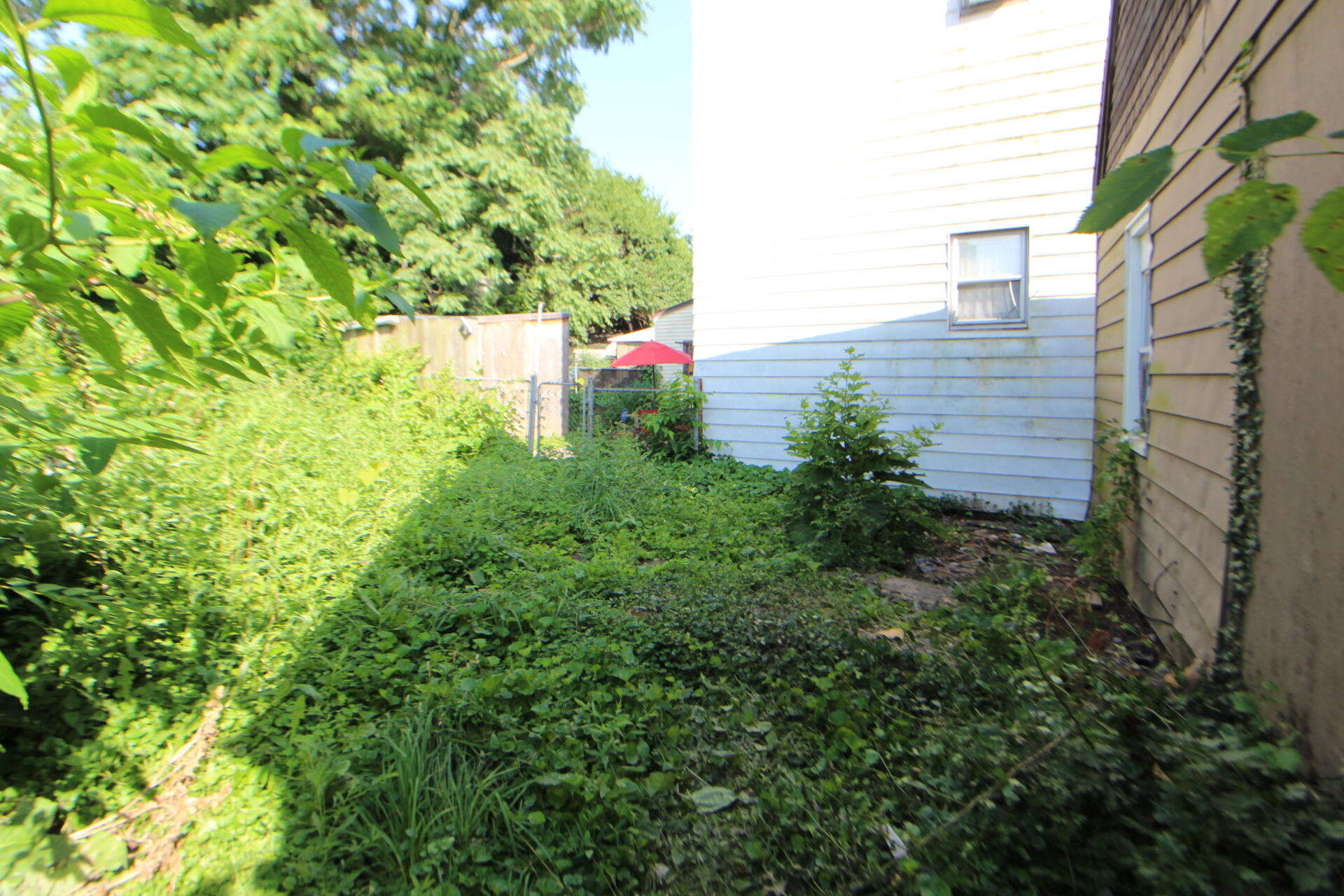 1910 Russell Street Covington, KY 41014 - Photo 33 of 35 IMG_7314