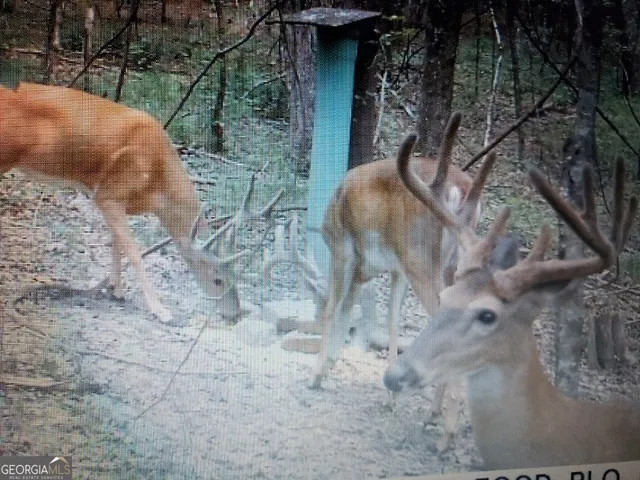 $699,000 | 2566 U.S. Highway 19, Meansville, GA 30256