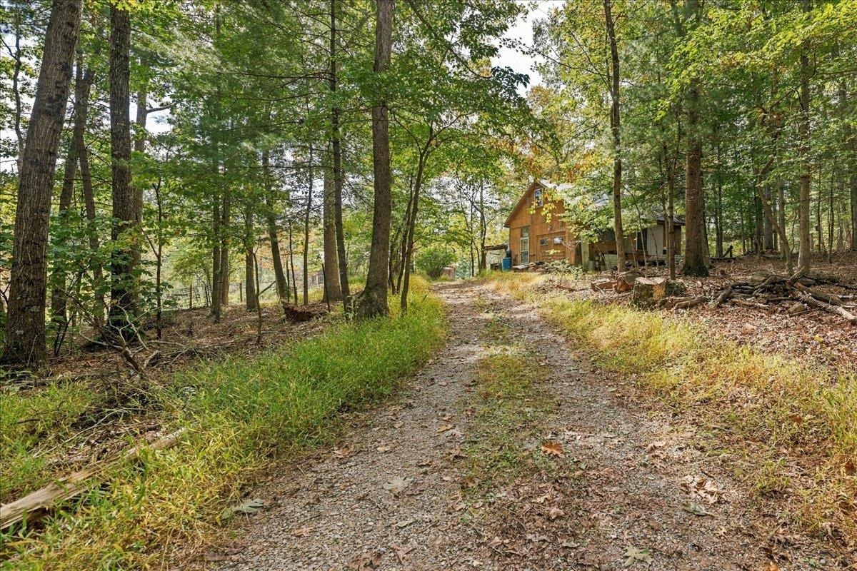 10375 Genoa Road Fulks Run, VA 22830 - Photo 64 of 75 Gallery Image 64