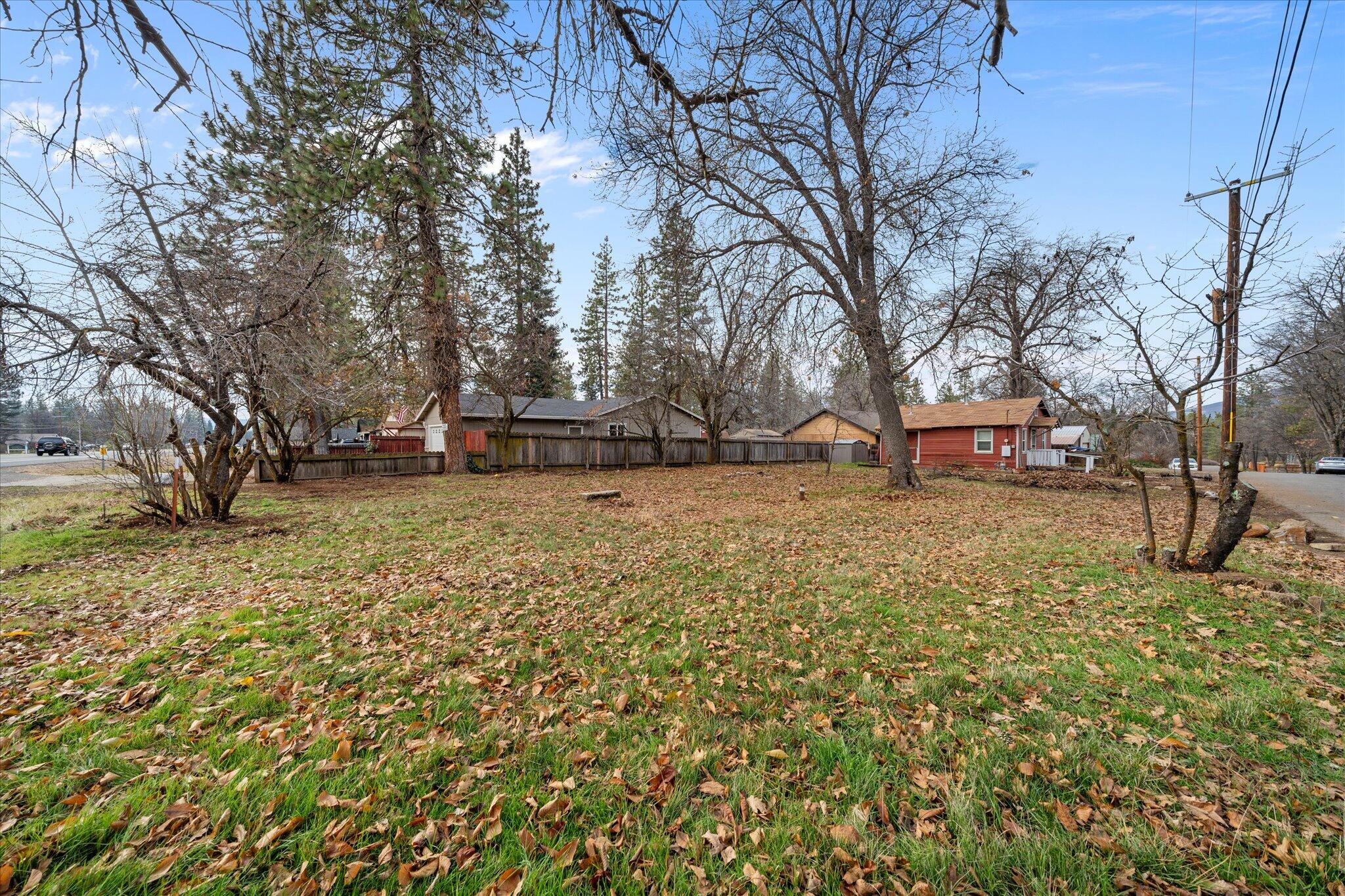 21722 3rd Street Burney, CA 96013 - Photo 23 of 33 a view of a yard with a tree