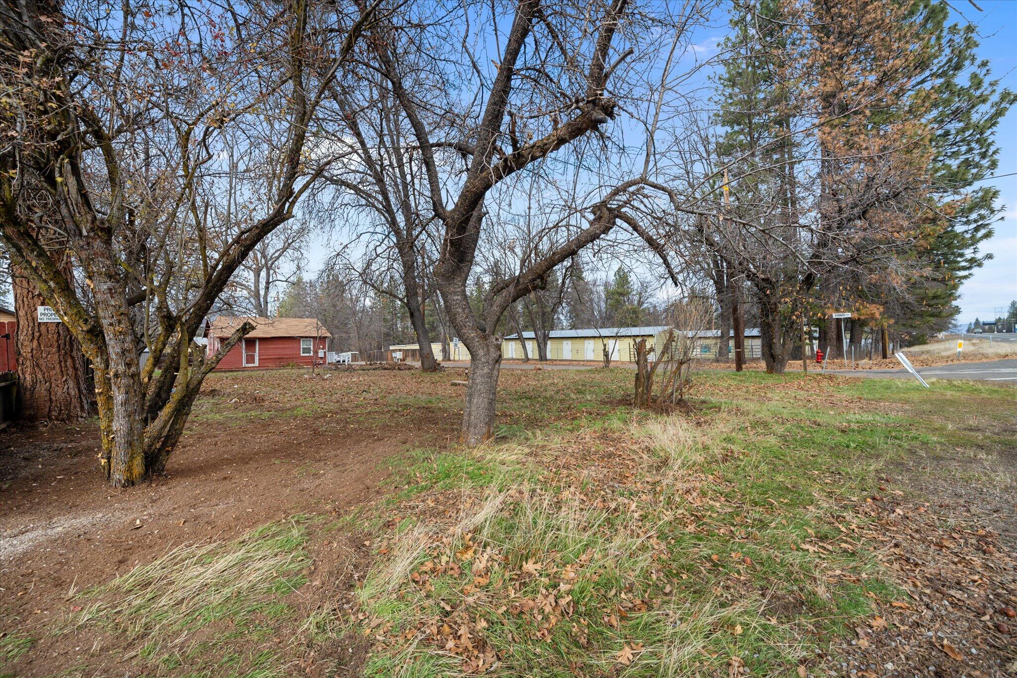 21722 3rd Street Burney, CA 96013 - Photo 25 of 33 a view of outdoor space with trees