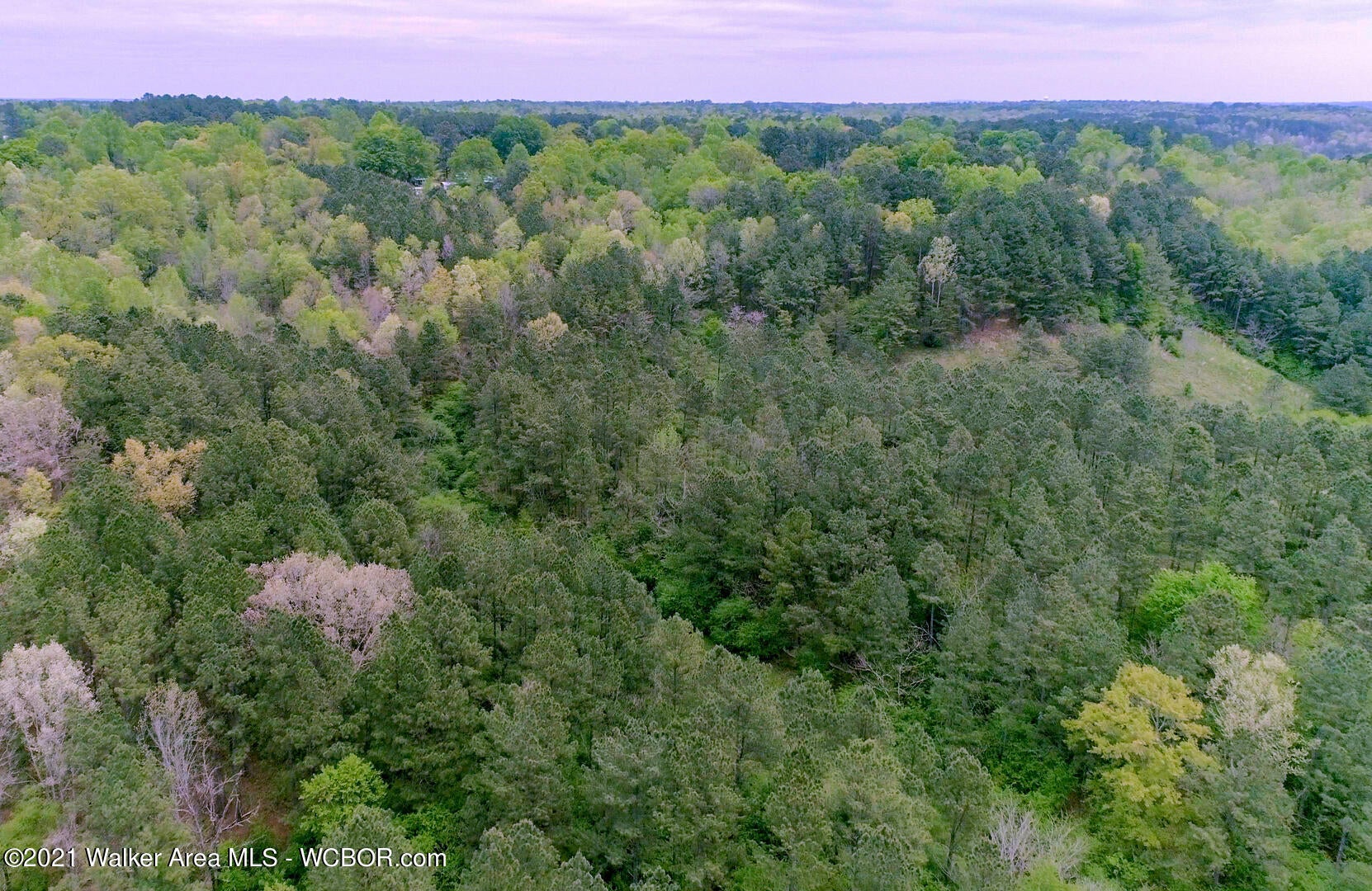 Coon Road Empire, AL 35063 - Photo 10 of 16 Gallery Image 10