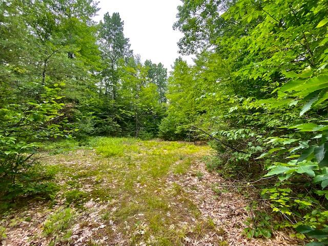 0 Richardson Road Limington, ME 04049 - Photo 7 of 15 IMG_3262