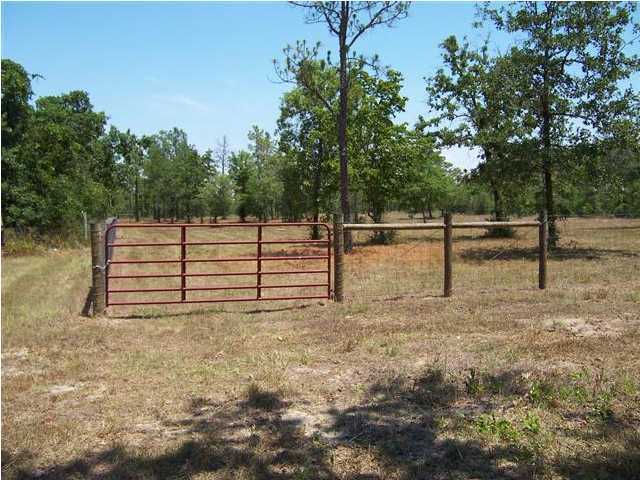 3272 Richardson Road Crestview, FL 32539 - Photo 1 of 10 a view of a backyard