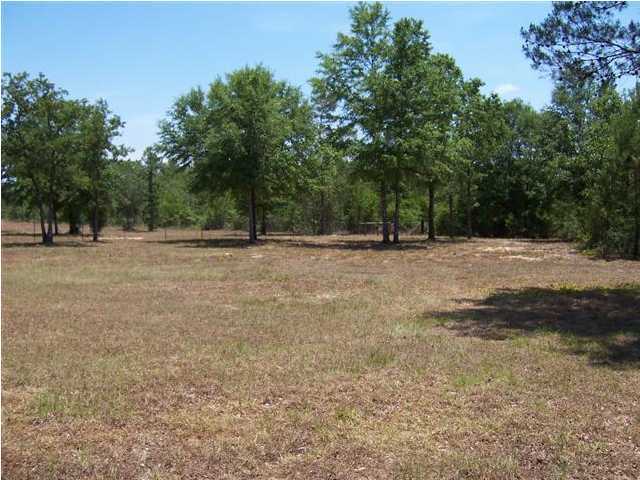 3272 Richardson Road Crestview, FL 32539 - Photo 2 of 10 a view of dirt field with trees in the background