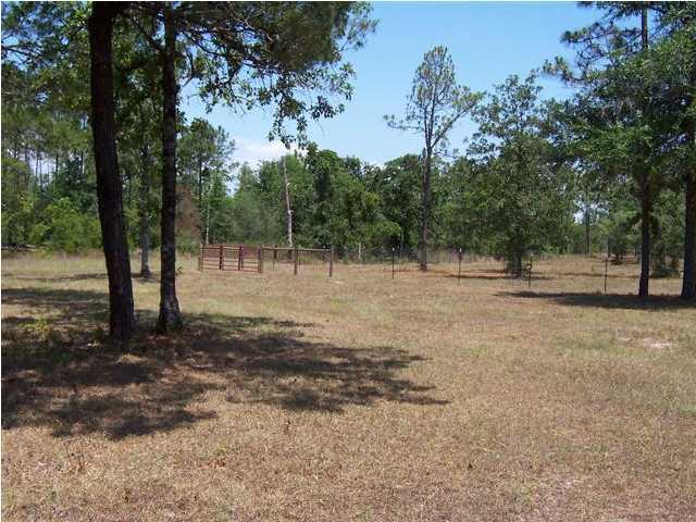 3272 Richardson Road Crestview, FL 32539 - Photo 3 of 10 a view of outdoor space with trees