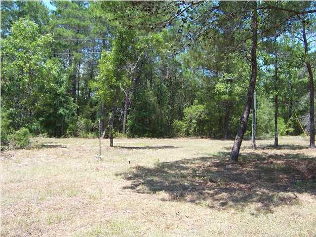 3272 Richardson Road Crestview, FL 32539 - Photo 4 of 10 a view of empty space with trees