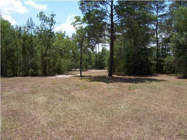 3272 Richardson Road Crestview, FL 32539 - Photo 5 of 10 a view of outdoor space with trees