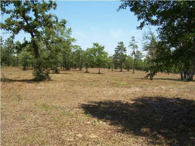 3272 Richardson Road Crestview, FL 32539 - Photo 6 of 10 a view of dirt field with trees
