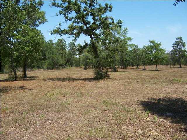 3272 Richardson Road Crestview, FL 32539 - Photo 7 of 10 a view of dirt yard with a trees