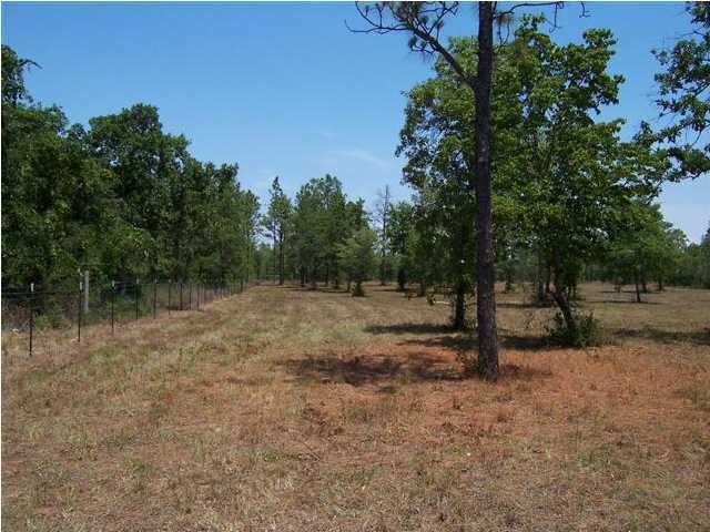 3272 Richardson Road Crestview, FL 32539 - Photo 8 of 10 a view of a forest with trees in the background