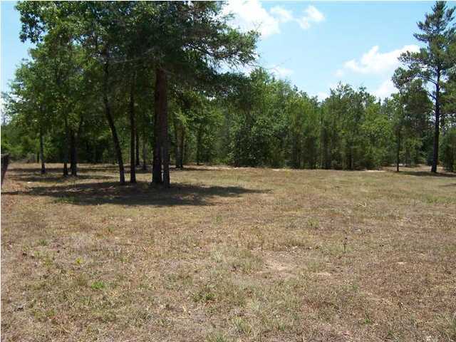 3272 Richardson Road Crestview, FL 32539 - Photo 10 of 10 a view of outdoor space with trees