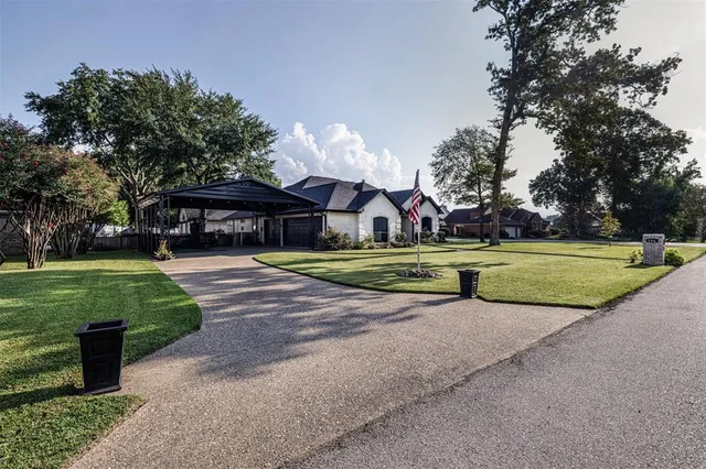 a view of a park with large trees