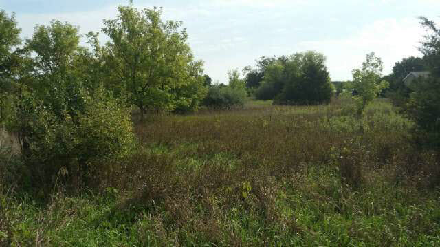 Lawrence Road, Unit V/L Brooklyn, MI 49230 - Photo 1 of 5