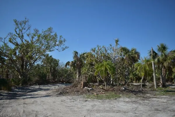 a view of a yard with a tree
