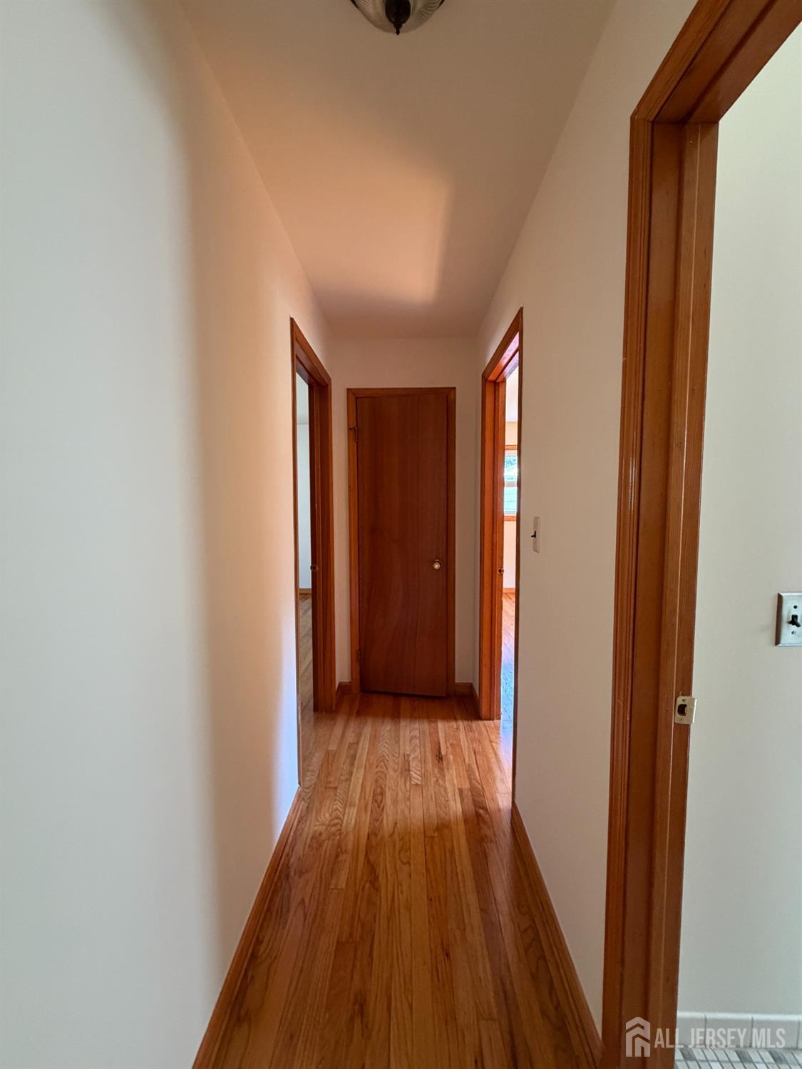 830 2nd Street Dunellen, NJ 08812 - Photo 19 of 30