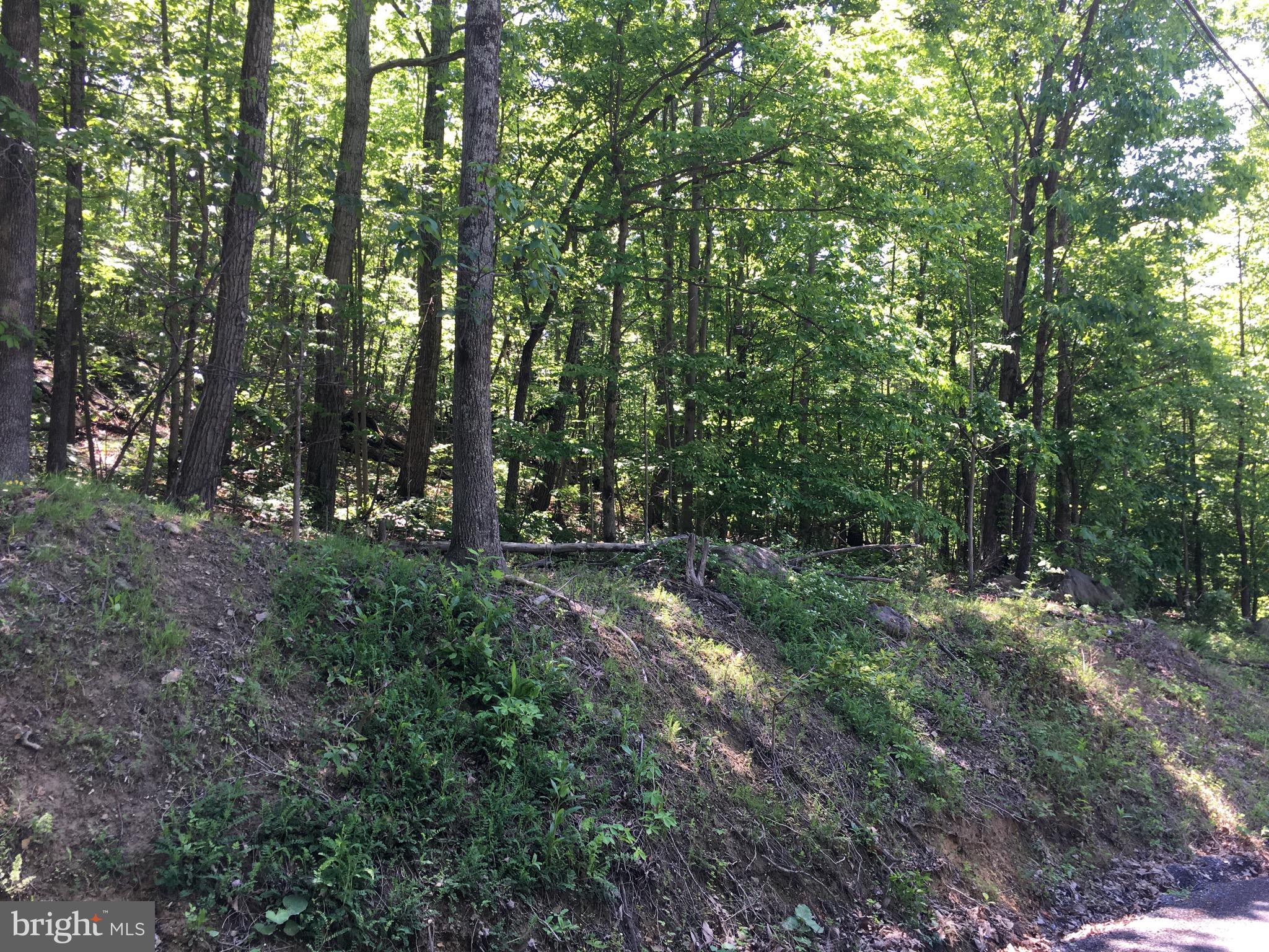 0 Drummer Hill Road Front Royal, VA 22630 - Photo 3 of 9 a view of outdoor space and green space