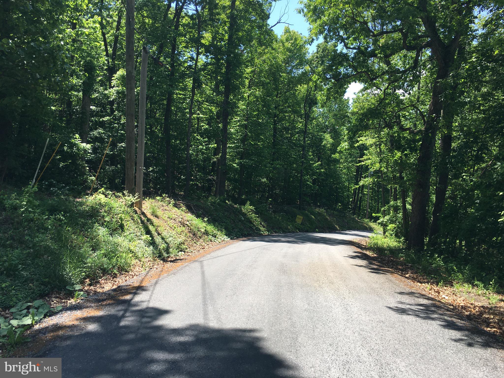 0 Drummer Hill Road Front Royal, VA 22630 - Photo 4 of 9 a view of outdoor space and yard