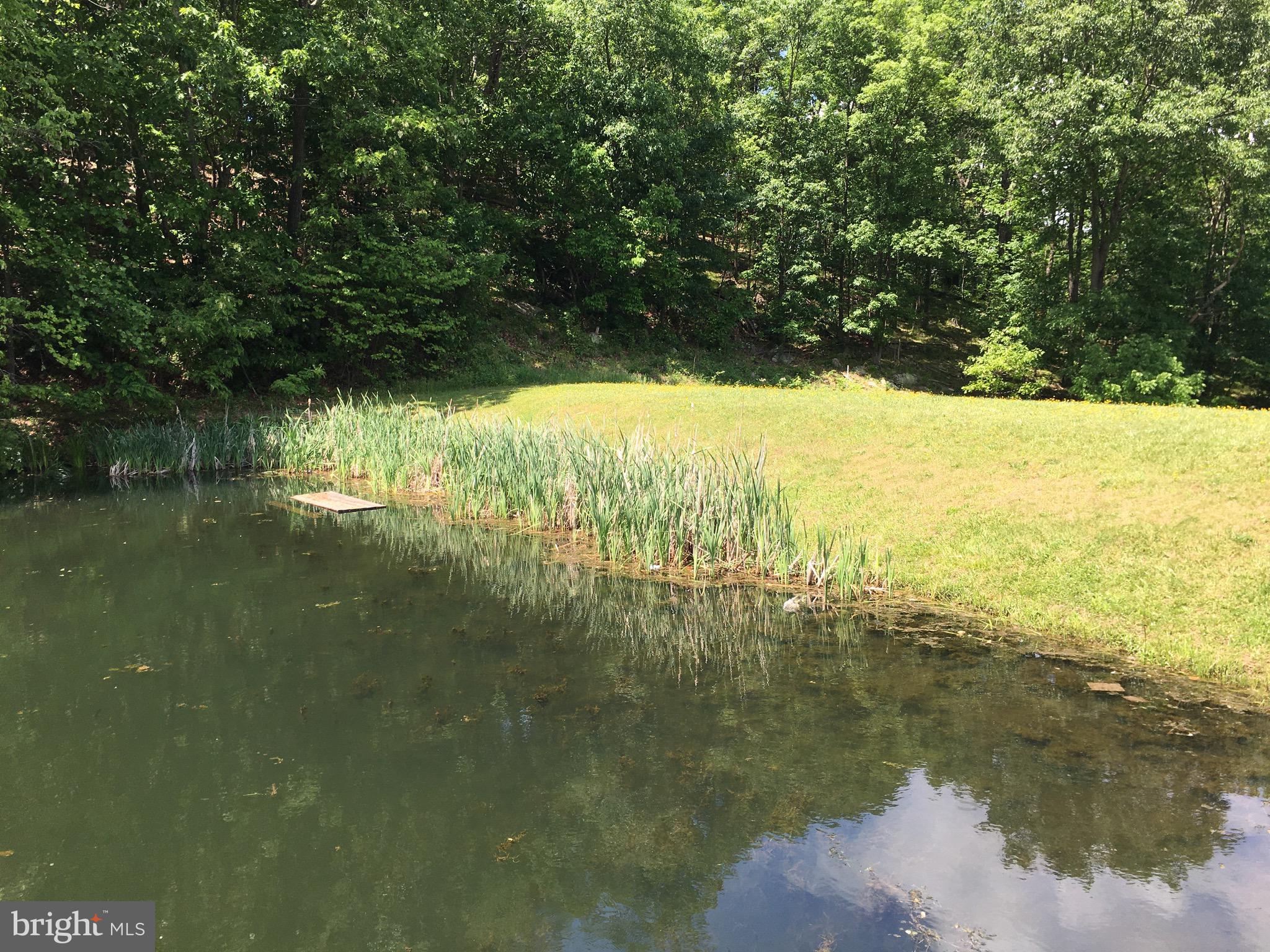 0 Drummer Hill Road Front Royal, VA 22630 - Photo 6 of 9 a view of lake view