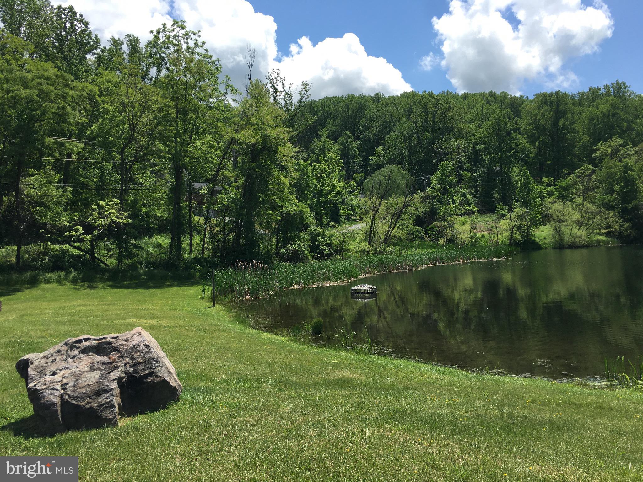 0 Drummer Hill Road Front Royal, VA 22630 - Photo 7 of 9 a lake view with a garden