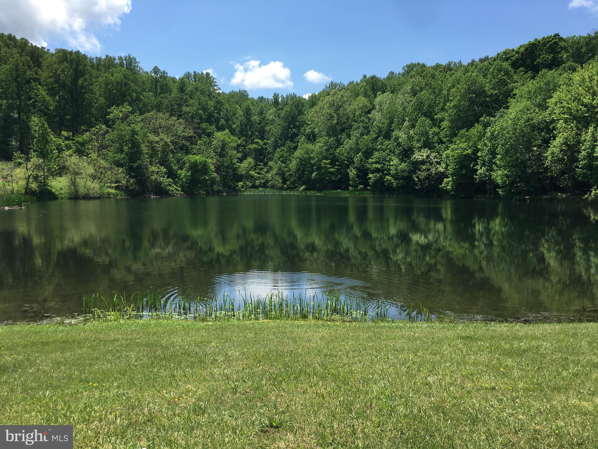 0 Drummer Hill Road Front Royal, VA 22630 - Photo 8 of 9 a view of a lake