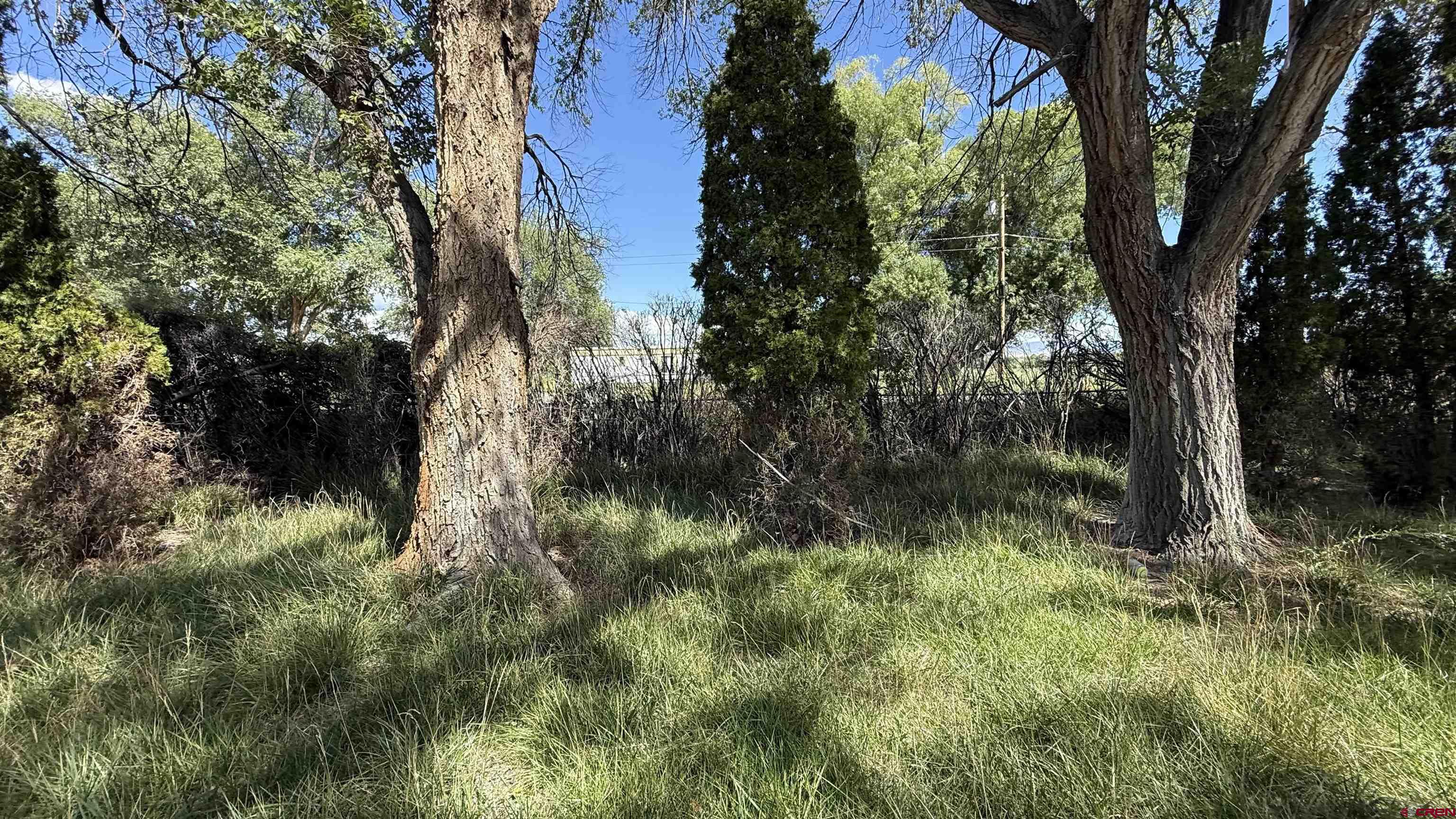 828 1600th Road Delta, CO 81416 - Photo 26 of 31 Gallery Image 26