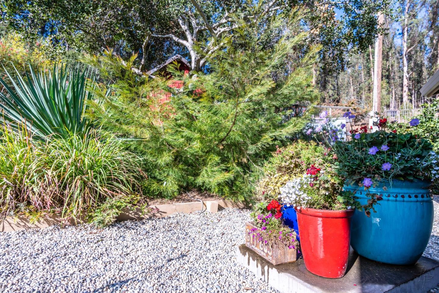 14520 Ridgecrest Road Watsonville, CA 95076 - Photo 33 of 49 a view of a potted flower in a yard
