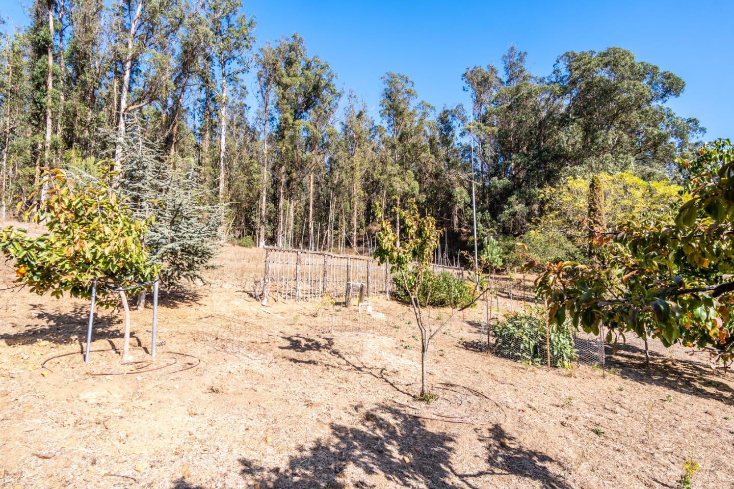 14520 Ridgecrest Road Watsonville, CA 95076 - Photo 43 of 49 a view of back yard of the road