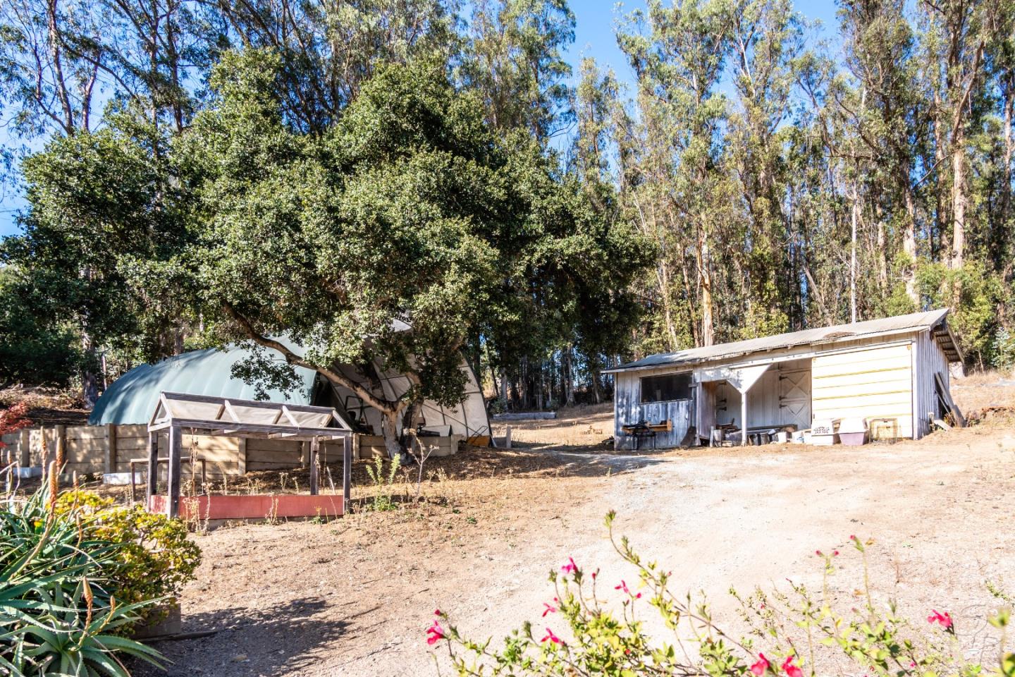 14520 Ridgecrest Road Watsonville, CA 95076 - Photo 45 of 49 a house with trees in front of it