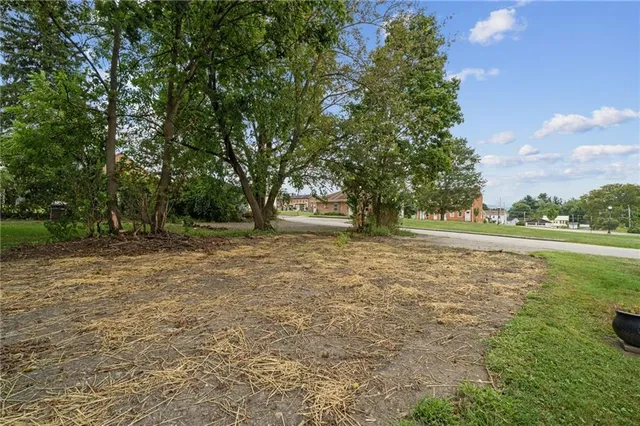 a view of outdoor space and yard