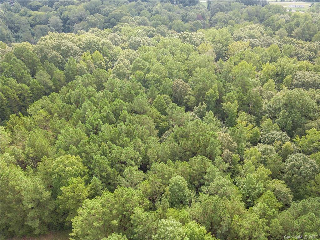 5345 Wylies Mill Road Edgemoor, SC 29712 - Photo 10 of 39