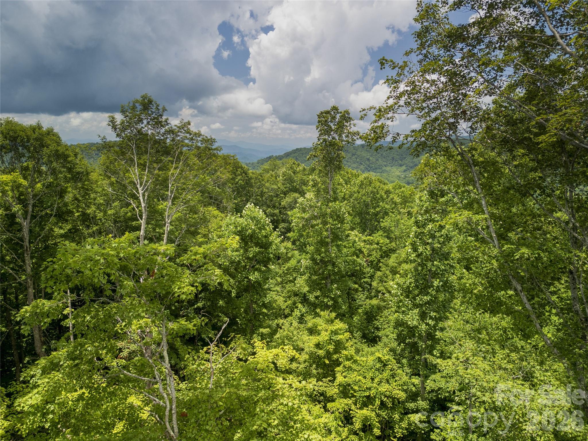 168 Smith Creek Road Mars Hill, NC 28754 - Photo 46 of 46