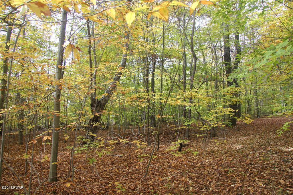 Lot 8-9 Ravnikar Road Waymart, PA 18472 - Photo 4 of 6