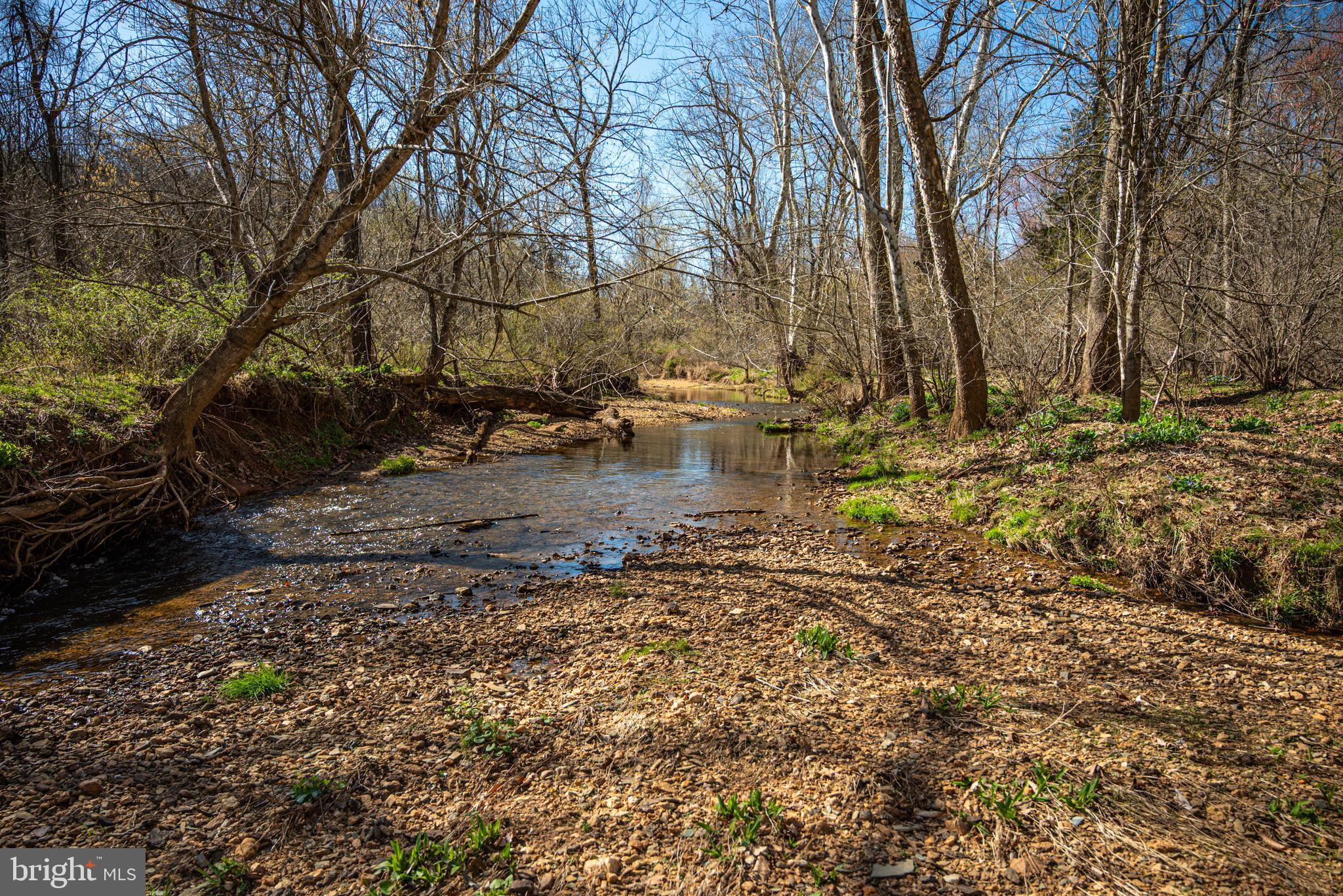 0 Cox Mill Road Gordonsville, VA 22942 - Photo 11 of 43 a view of a yard with trees