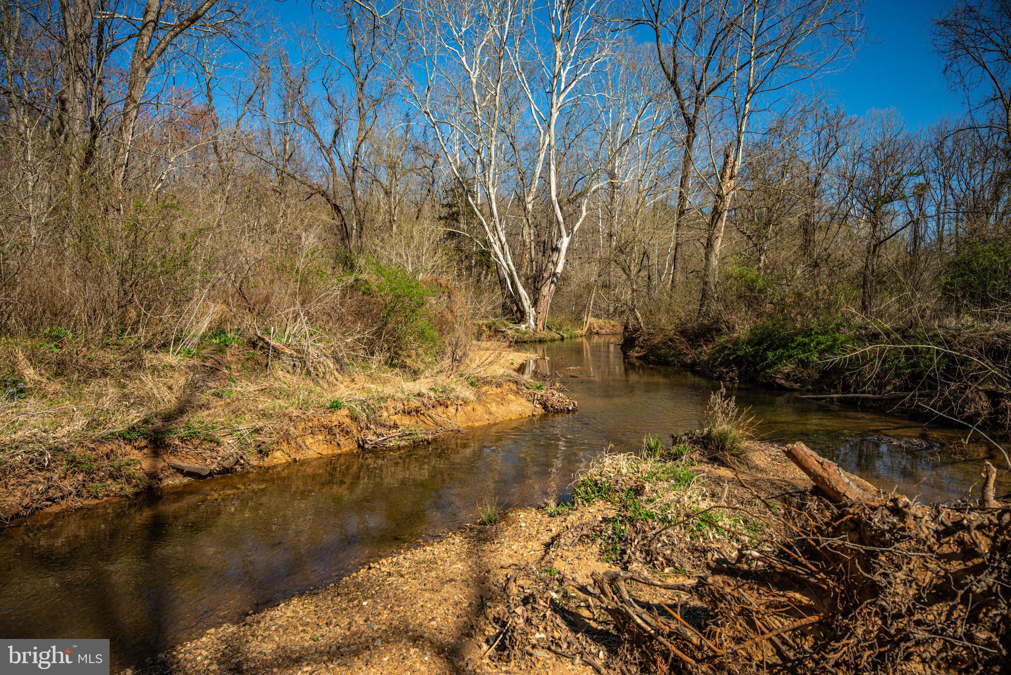 0 Cox Mill Road Gordonsville, VA 22942 - Photo 14 of 43 a view of lake with a yard